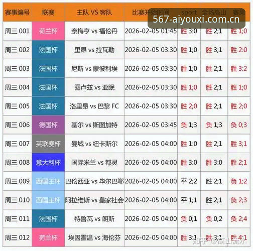 爱游戏体育数据查询常见问题详解